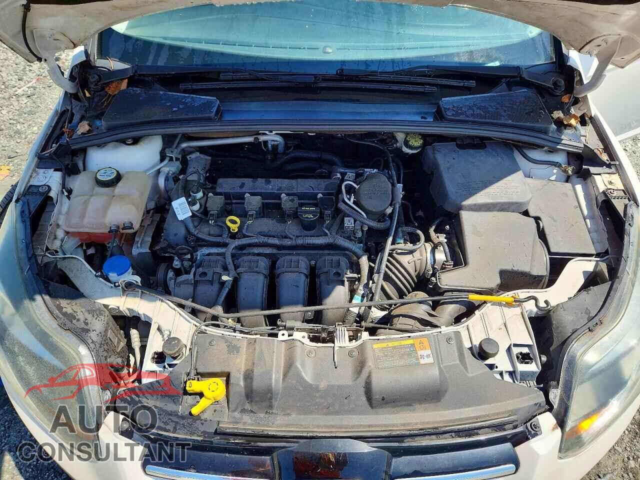 FORD FOCUS 2012 - 1FAHP3J24CL432504