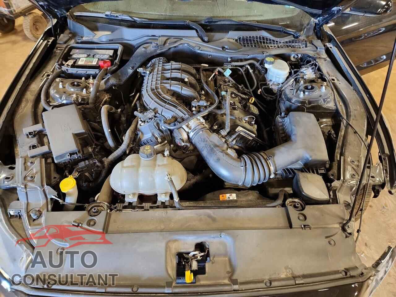 FORD MUSTANG 2017 - 1FA6P8AM3H5333027