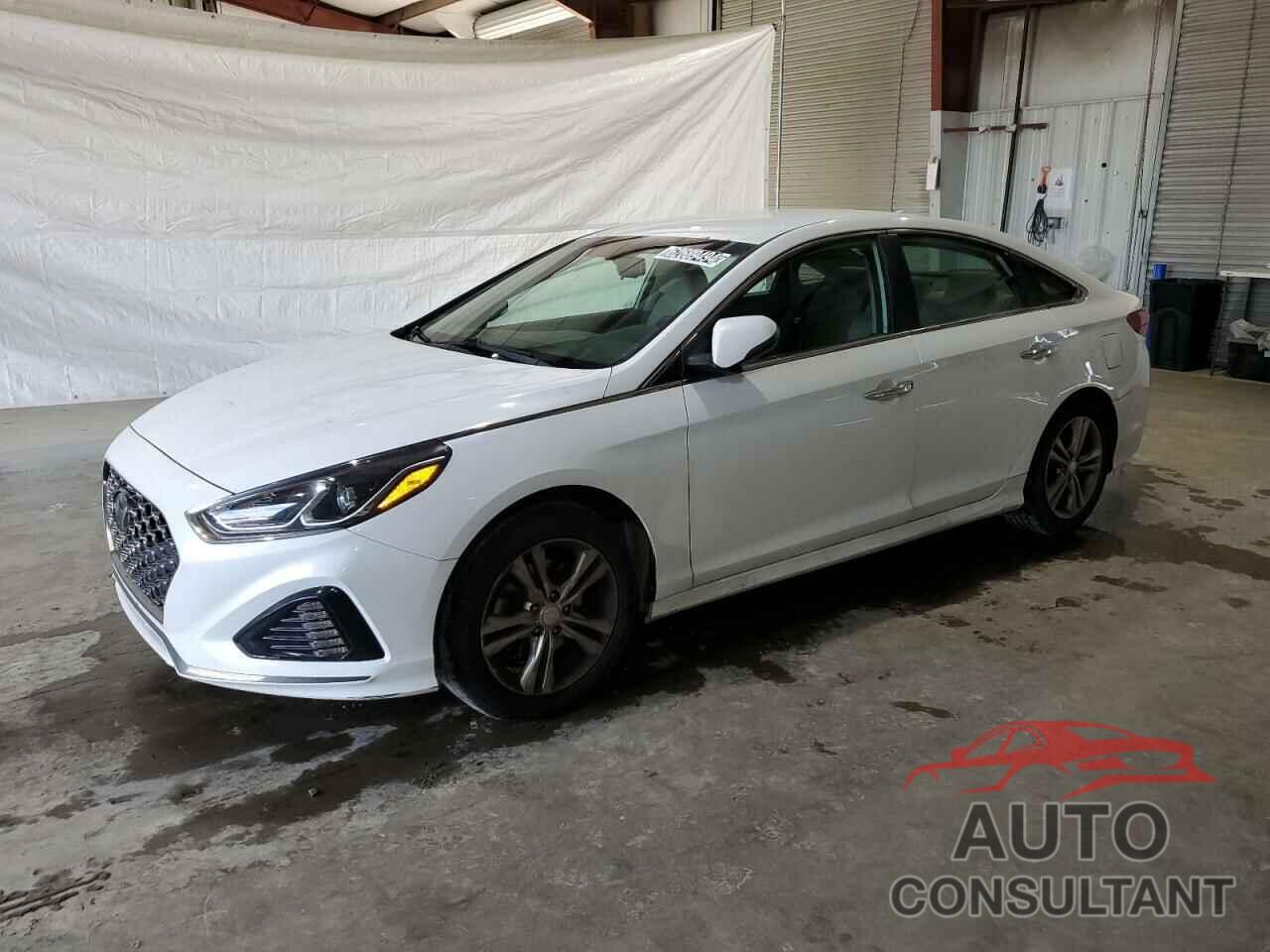 HYUNDAI SONATA 2019 - 5NPE34AF2KH756653