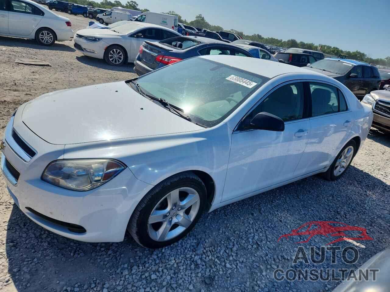 CHEVROLET MALIBU 2011 - 1G1ZA5EU0BF351724