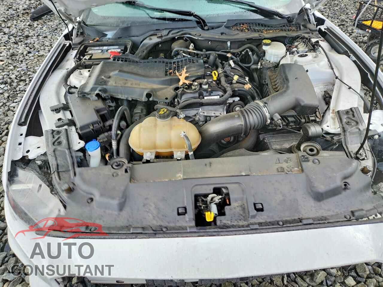 FORD MUSTANG 2021 - 1FA6P8TH7M5113576