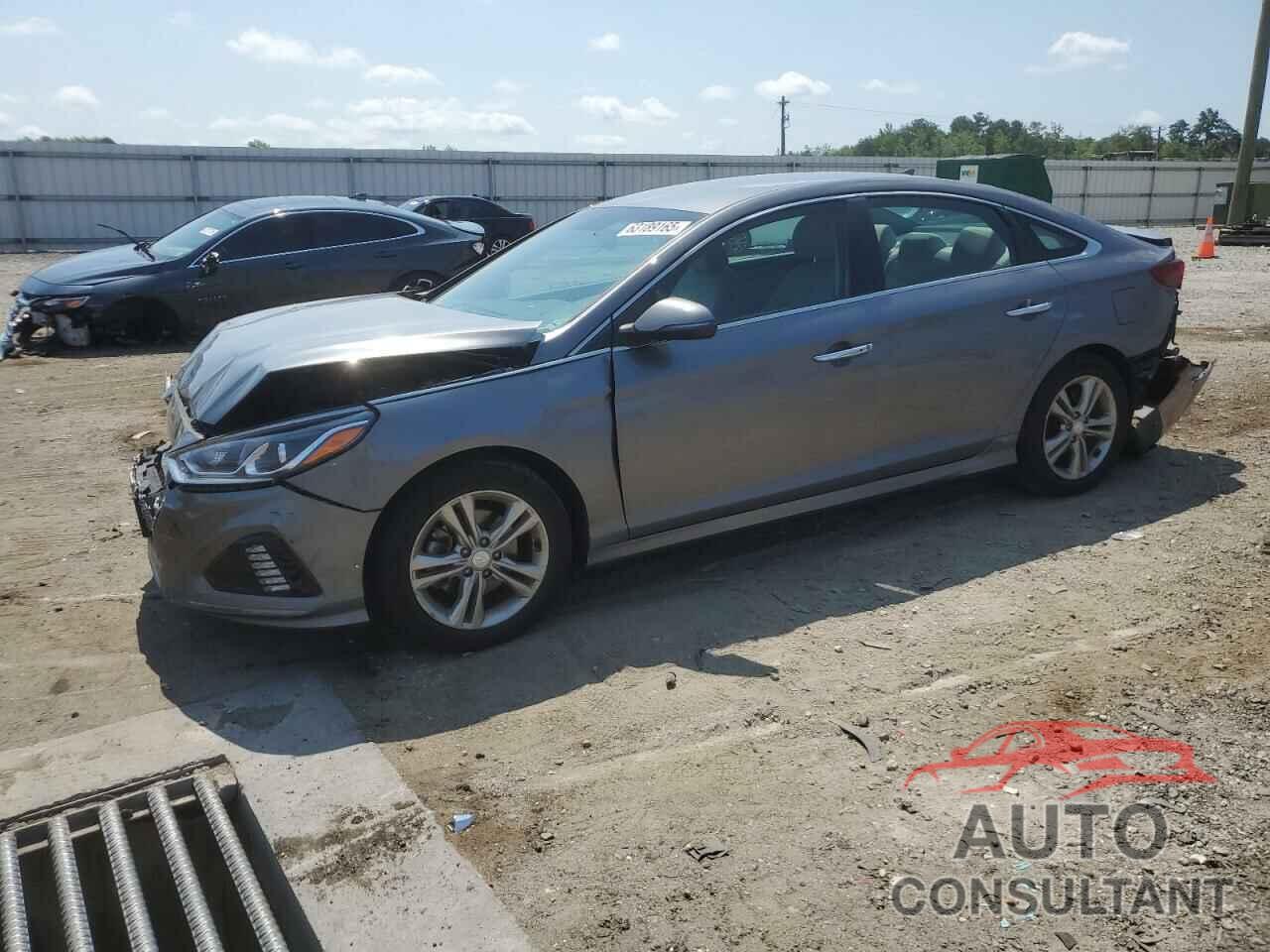 HYUNDAI SONATA 2019 - 5NPE34AF7KH743817