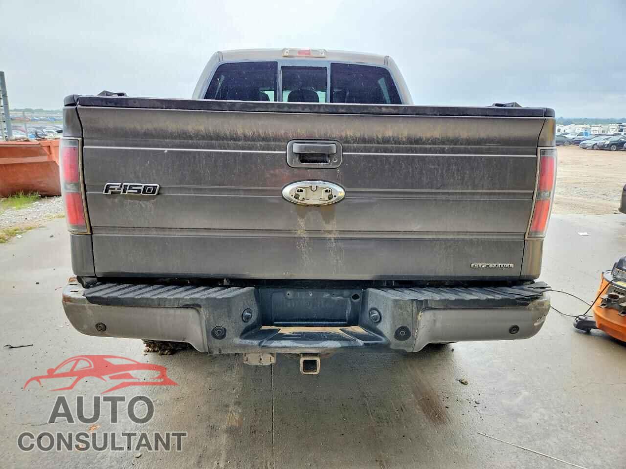 FORD F150 2011 - 1FTFW1EF9BFB61829