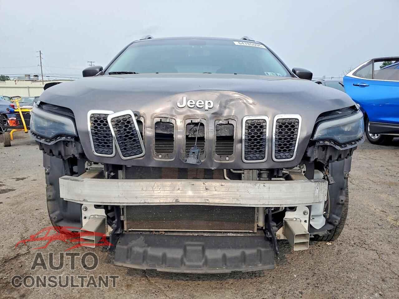 JEEP CHEROKEE 2019 - 1C4PJLDB1KD427661