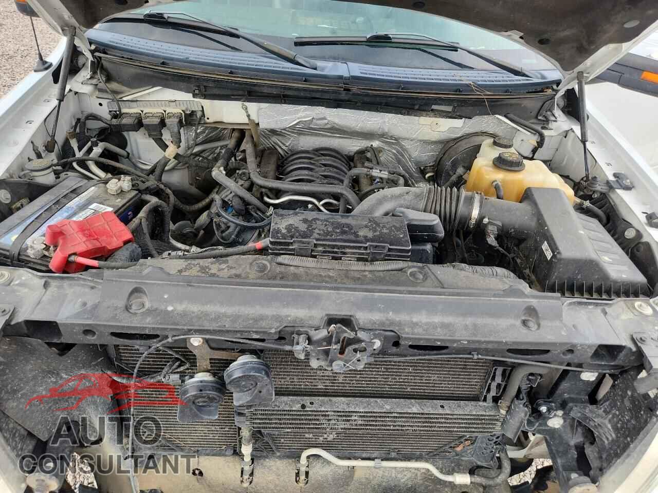 FORD F150 2013 - 1FTFX1CF8DFC69121