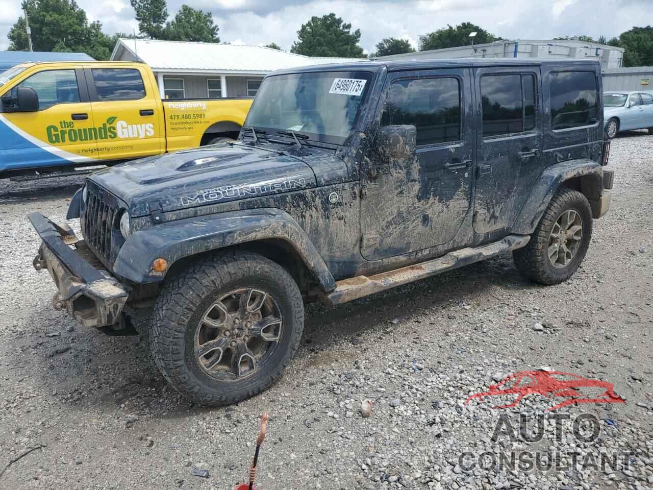 JEEP WRANGLER 2017 - 1C4HJWEG4HL692346