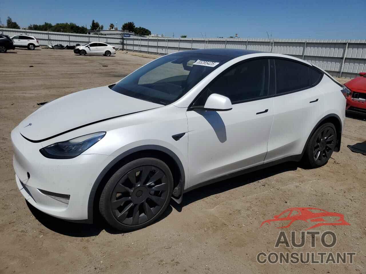 TESLA MODEL Y 2021 - 5YJYGDEE0MF097881