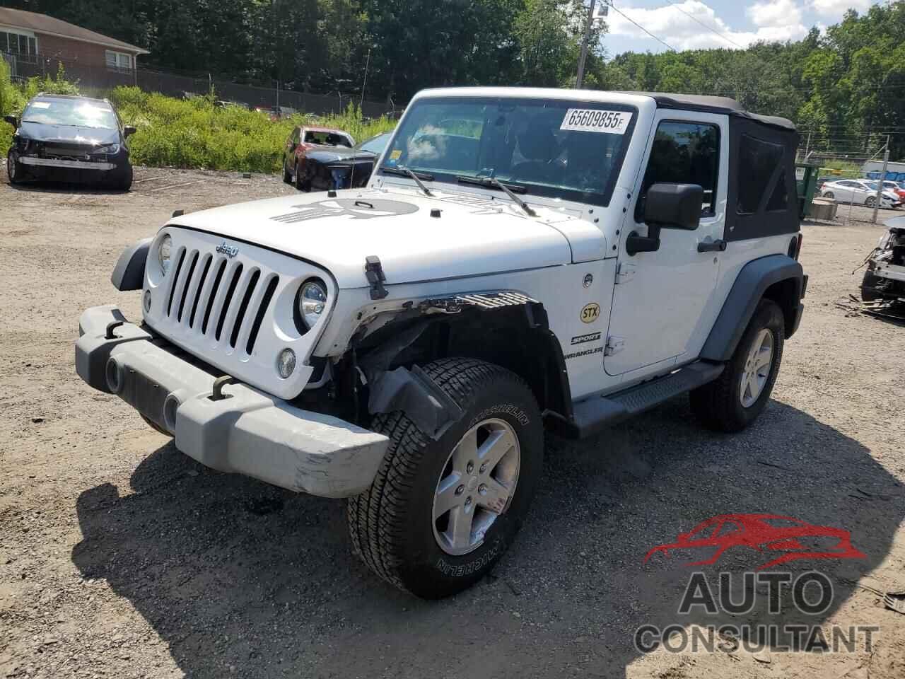 JEEP WRANGLER 2017 - 1C4AJWAG2HL513731
