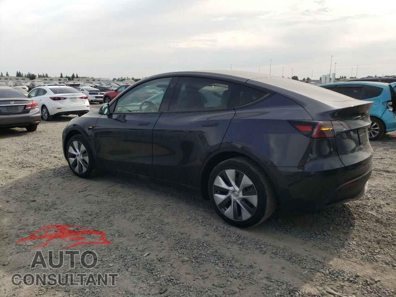 TESLA MODEL Y 2024 - 7SAYGDEE8RF080062