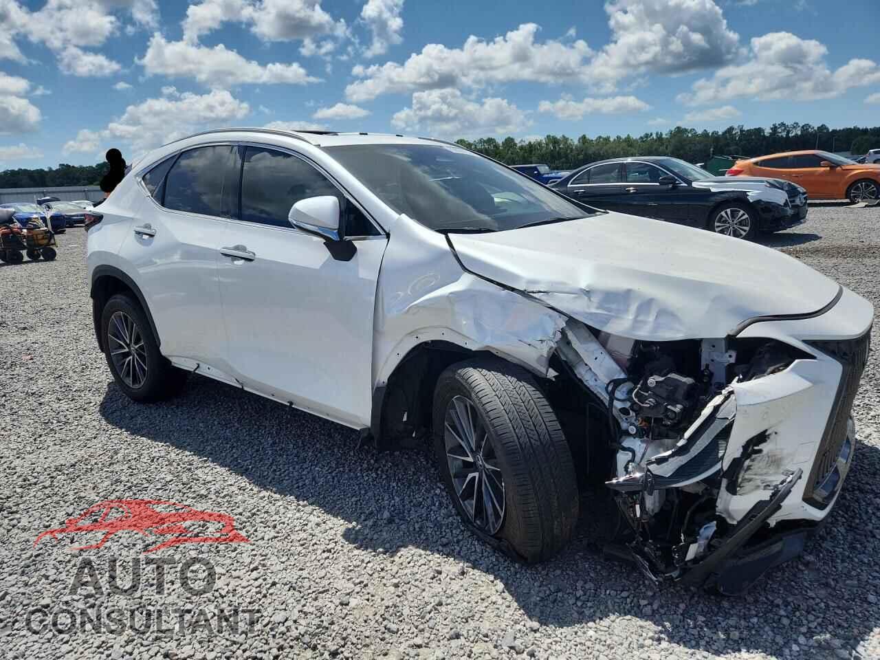 LEXUS NX 2024 - 2T2GDCAZ8RC009061