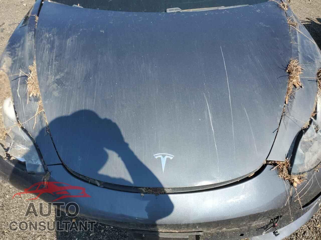 TESLA MODEL 3 2019 - 5YJ3E1EB3KF453161