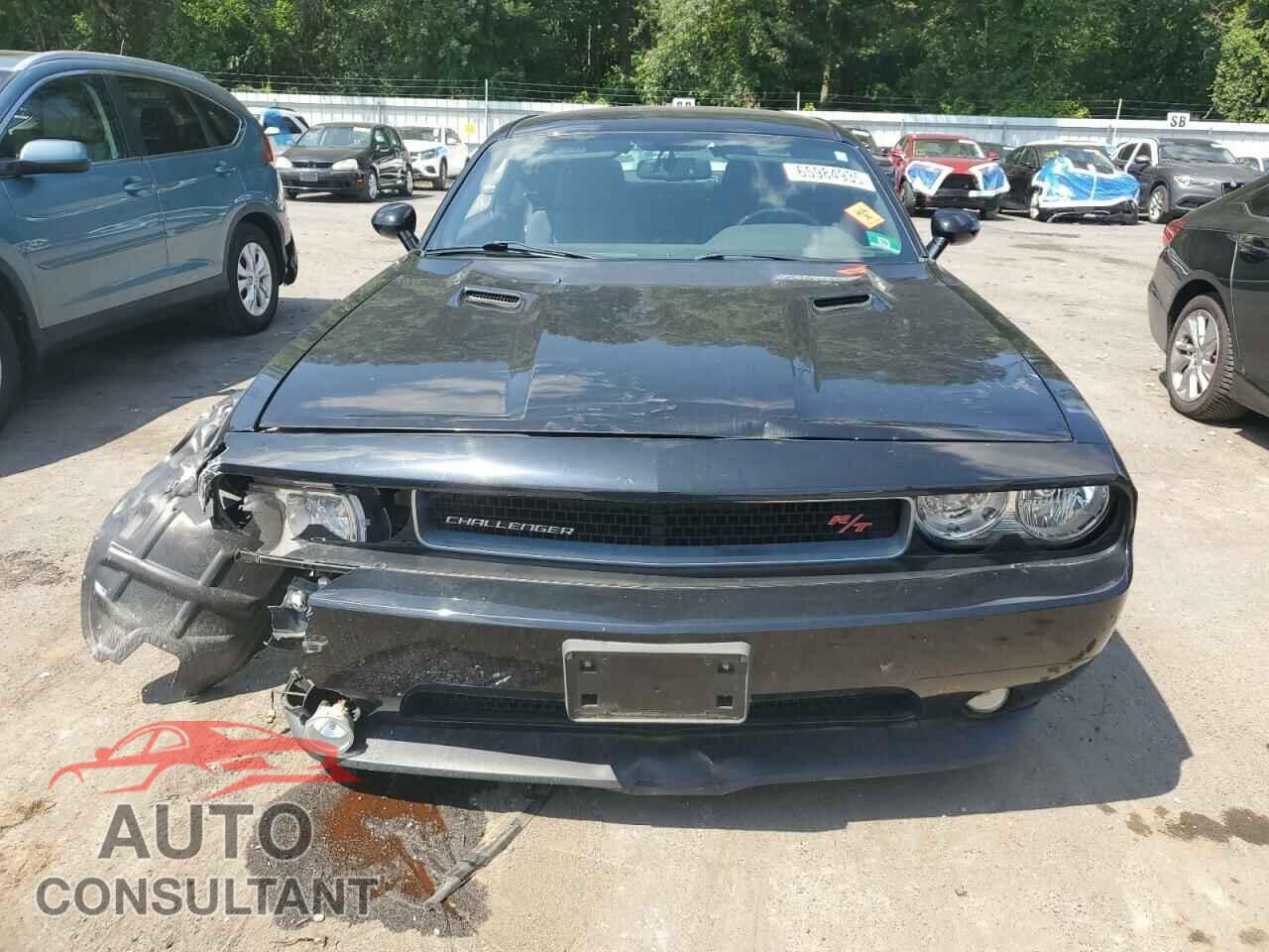 DODGE CHALLENGER 2013 - 2C3CDYBT1DH535366