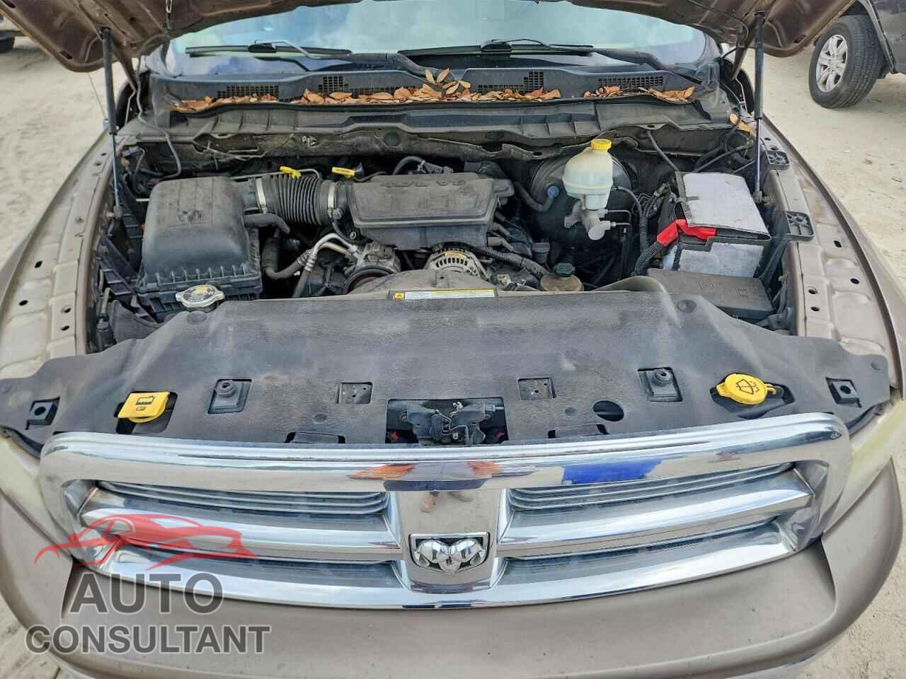 DODGE RAM 1500 2010 - 1D7RB1GP4AS231120