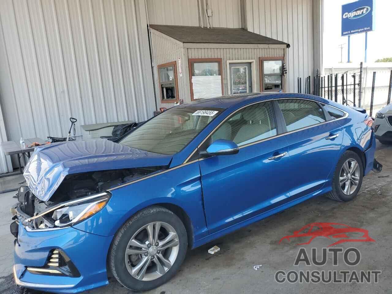 HYUNDAI SONATA 2018 - 5NPE34AF7JH637267