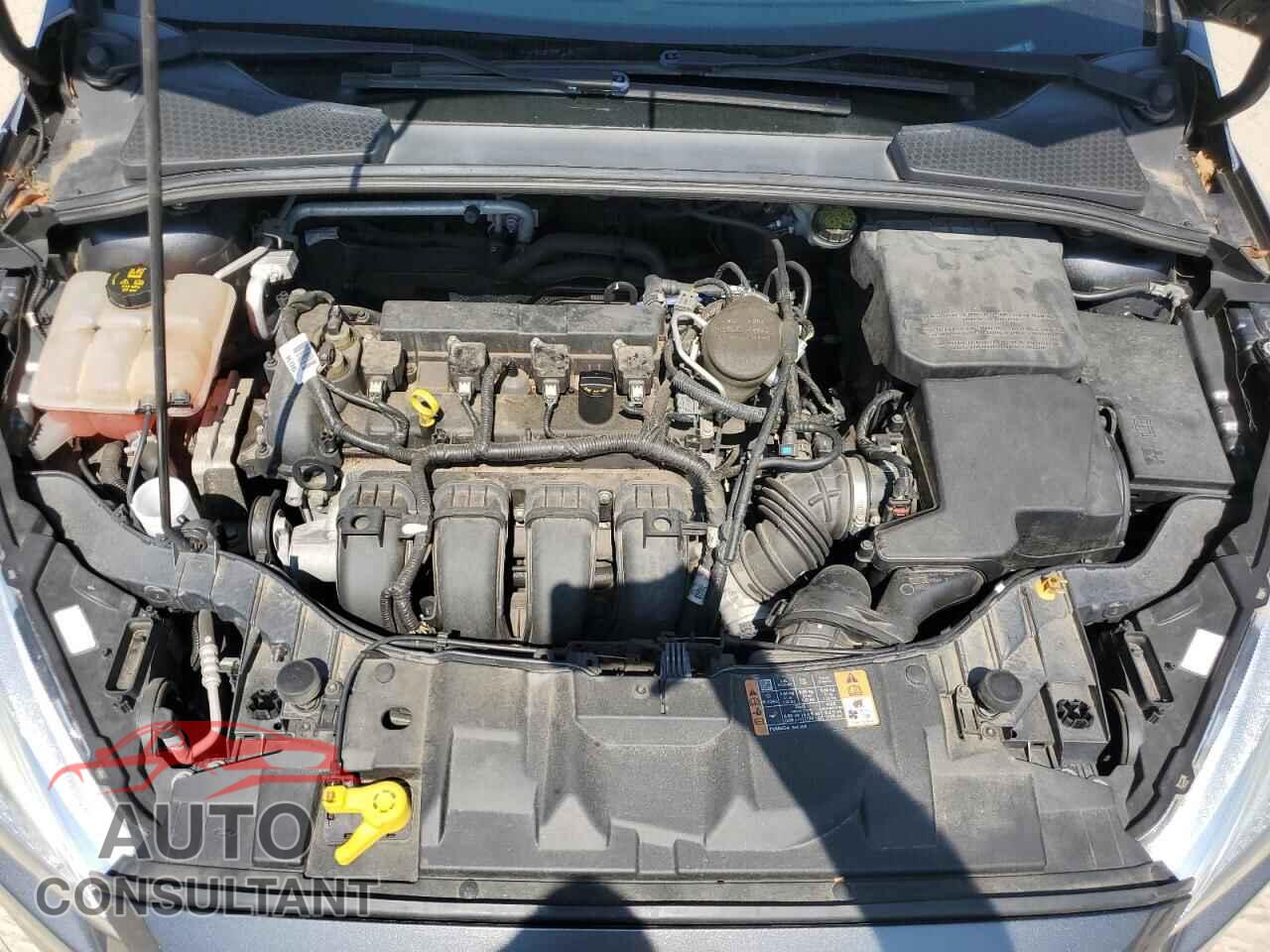 FORD FOCUS 2016 - 1FADP3F21GL229020