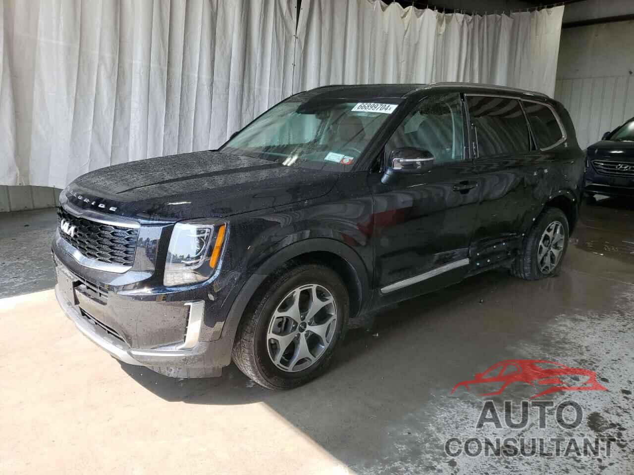 KIA TELLURIDE 2022 - 5XYP3DHCXNG284878