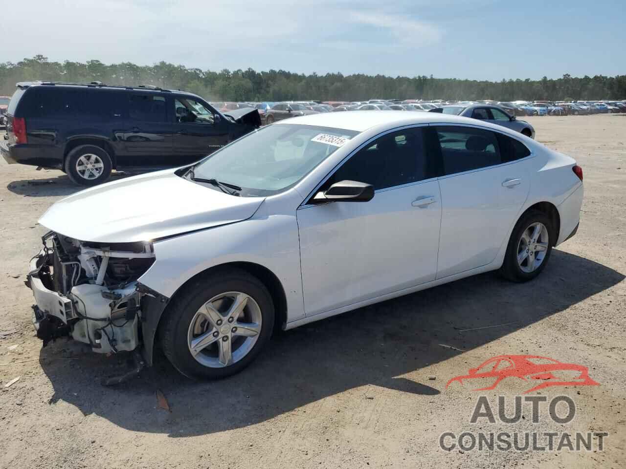 CHEVROLET MALIBU 2019 - 1G1ZB5ST9KF123536
