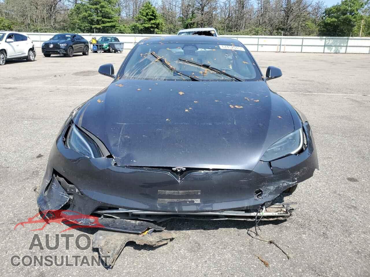 TESLA MODEL S 2024 - 5YJSA1E59RF537173