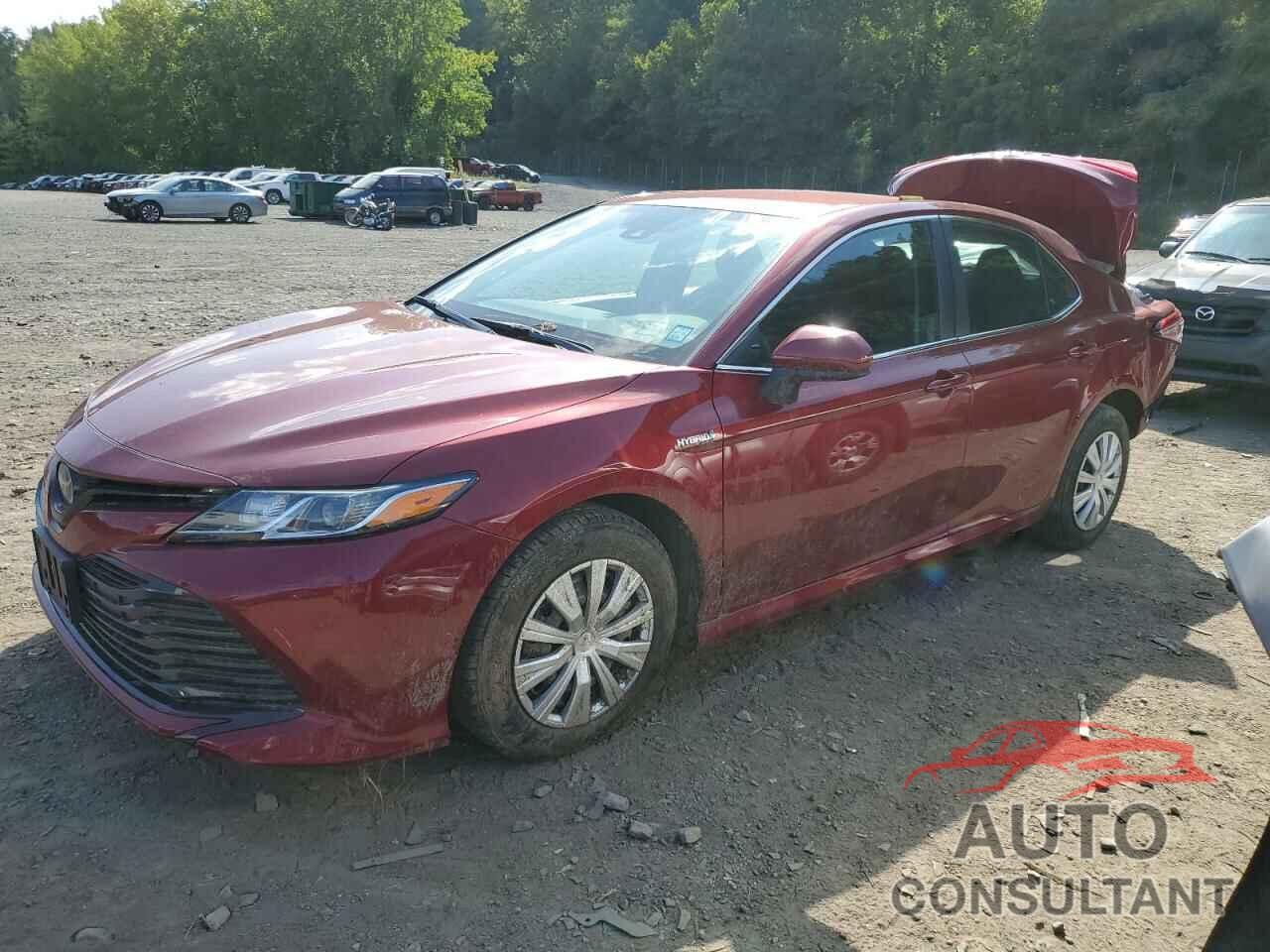TOYOTA CAMRY 2020 - 4T1C31AK0LU538006