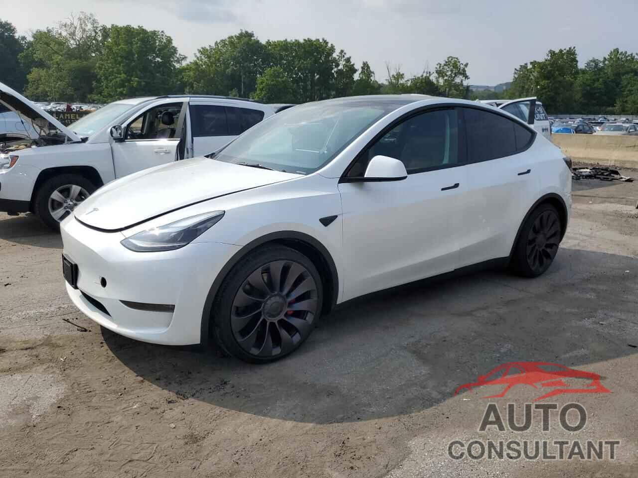 TESLA MODEL Y 2024 - 7SAYGDEF0RA312272