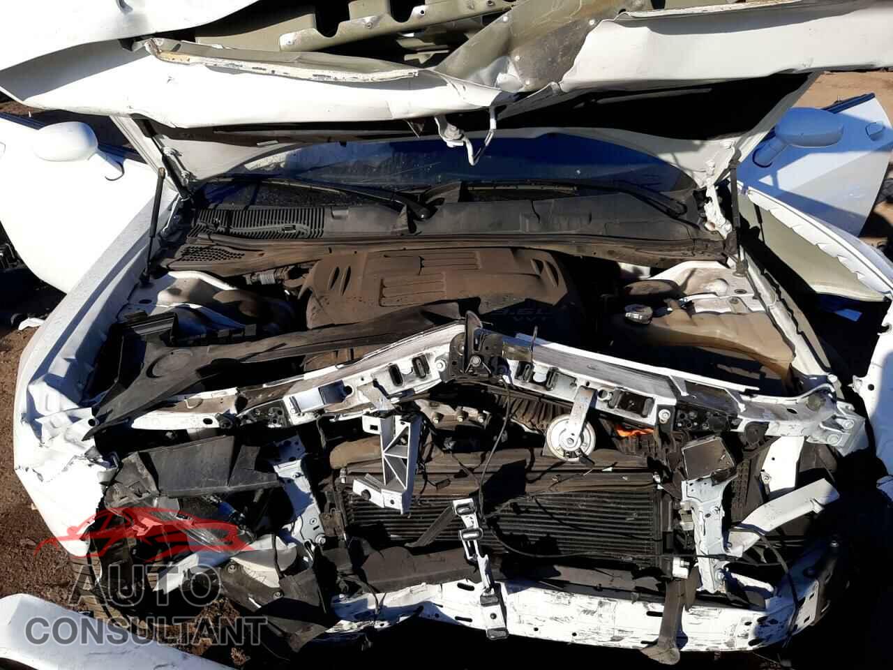 DODGE CHALLENGER 2019 - 2C3CDZJG8KH525957