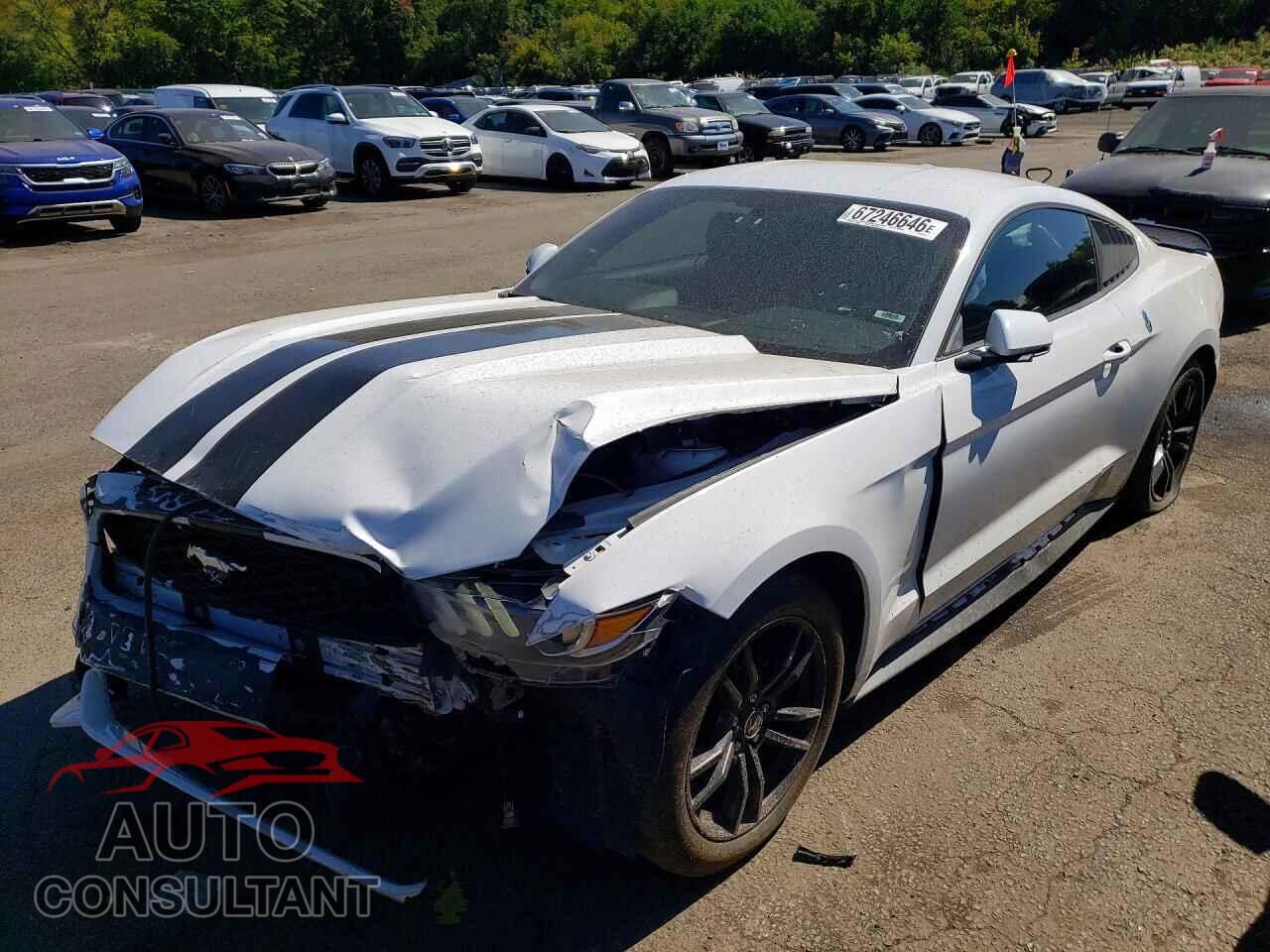 FORD MUSTANG 2017 - 1FA6P8TH3H5357263
