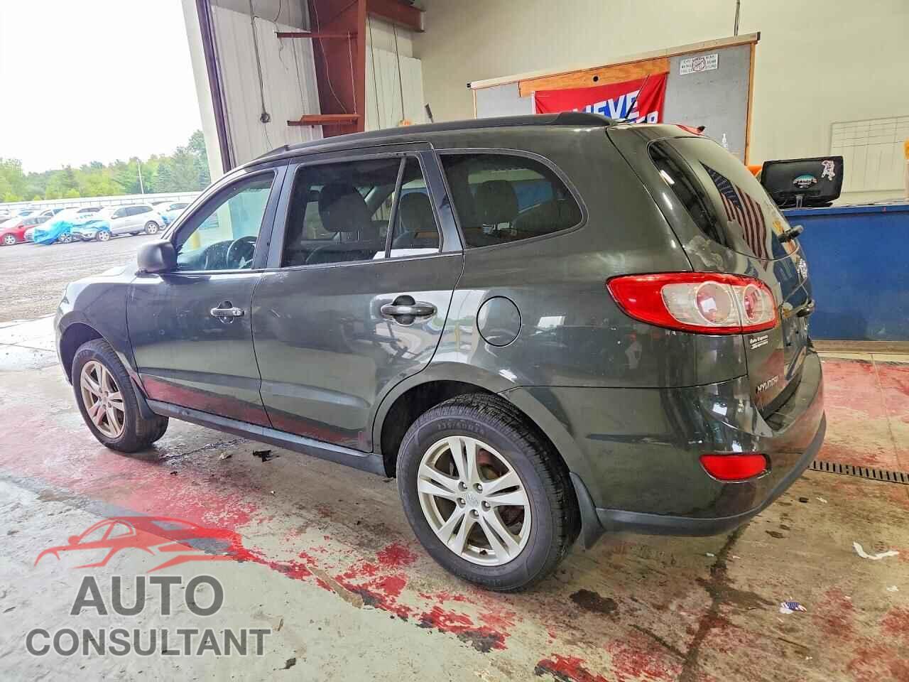 HYUNDAI SANTA FE 2010 - 5NMSGDAB9AH407991