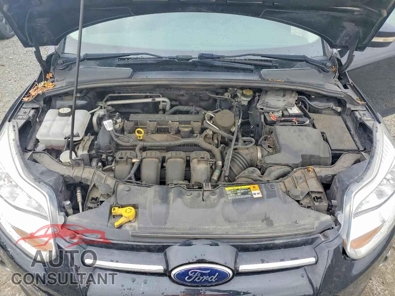 FORD FOCUS 2012 - 1FAHP3H21CL457611