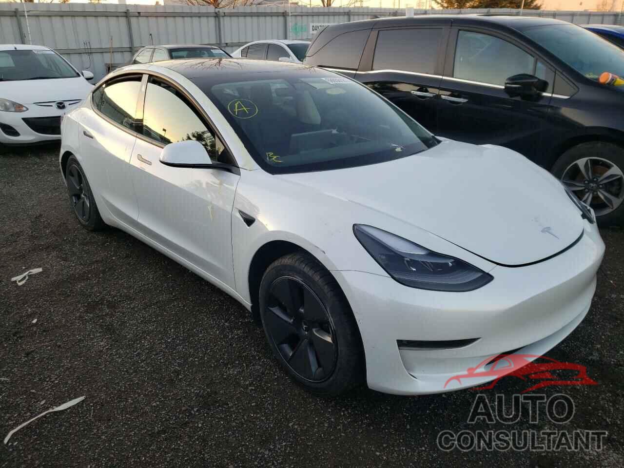 TESLA MODEL 3 2021 - 5YJ3E1EAXMF985971
