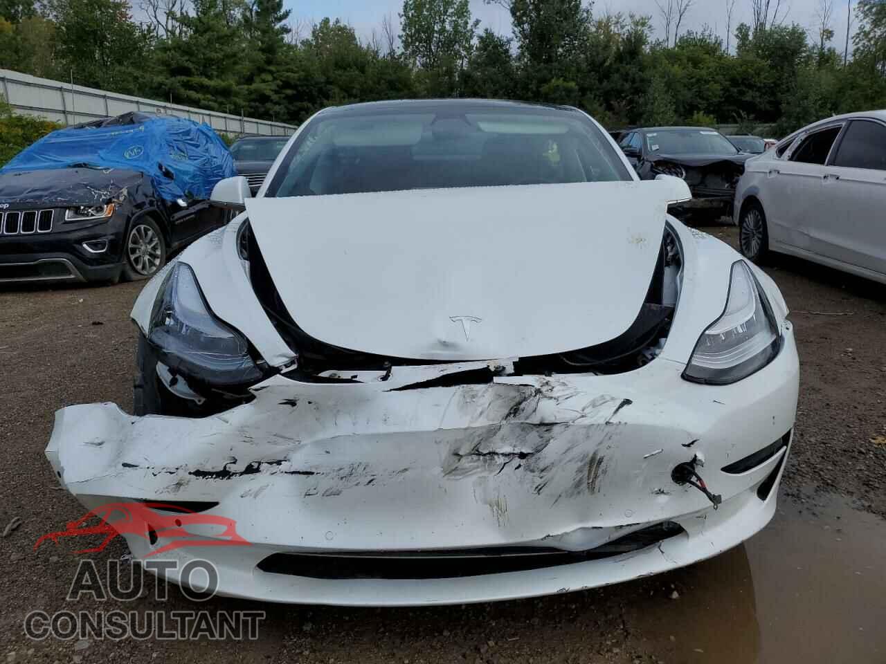 TESLA MODEL 3 2020 - 5YJ3E1EB9LF620947