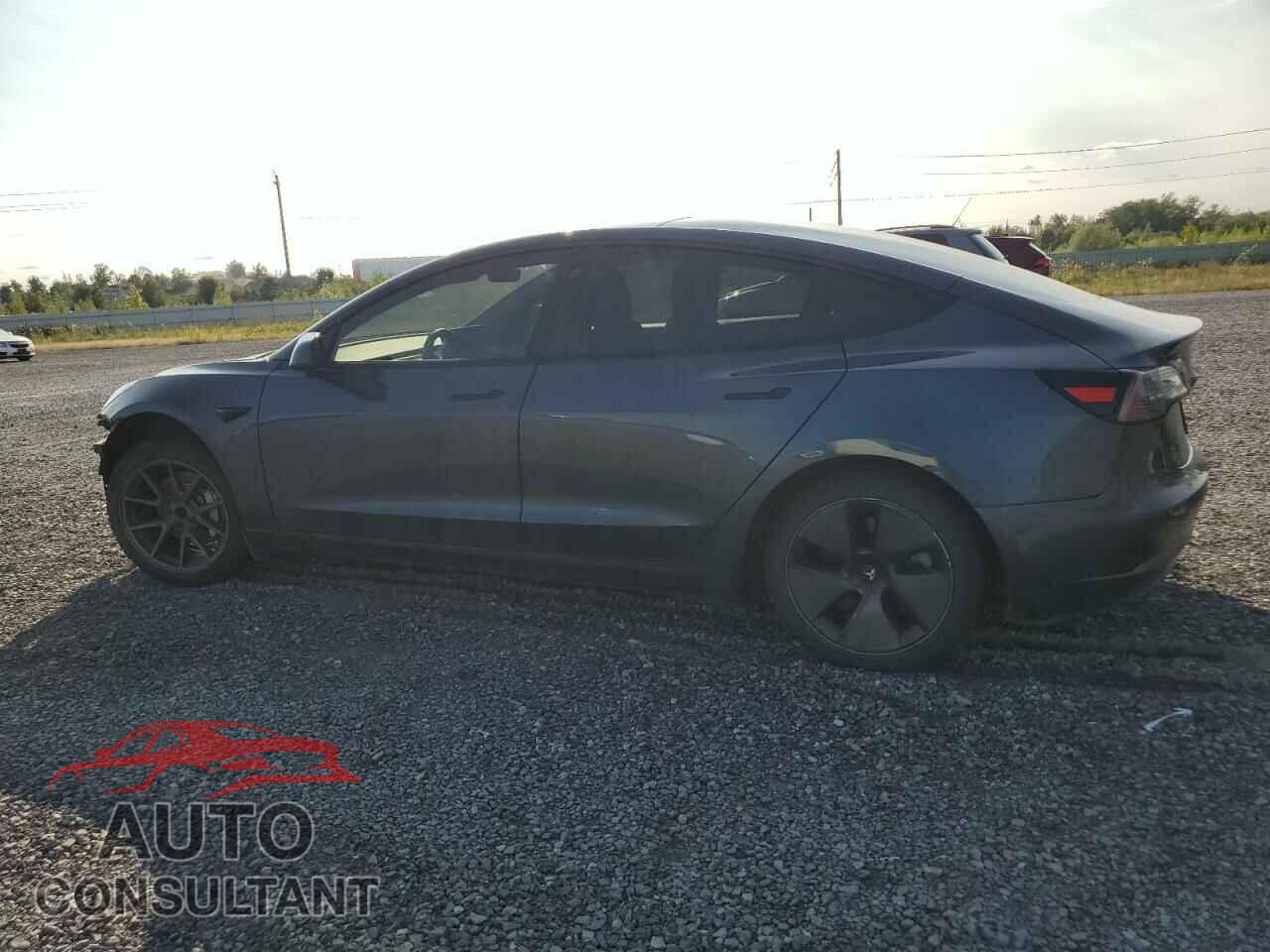 TESLA MODEL 3 2021 - 5YJ3E1EA5MF938525
