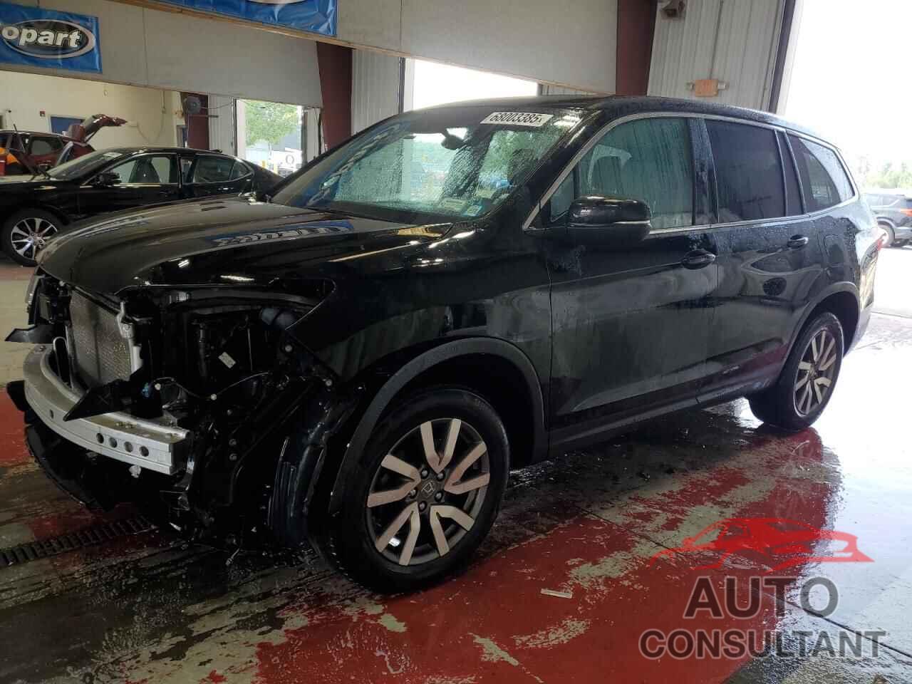 HONDA PILOT 2019 - 5FNYF6H55KB100958