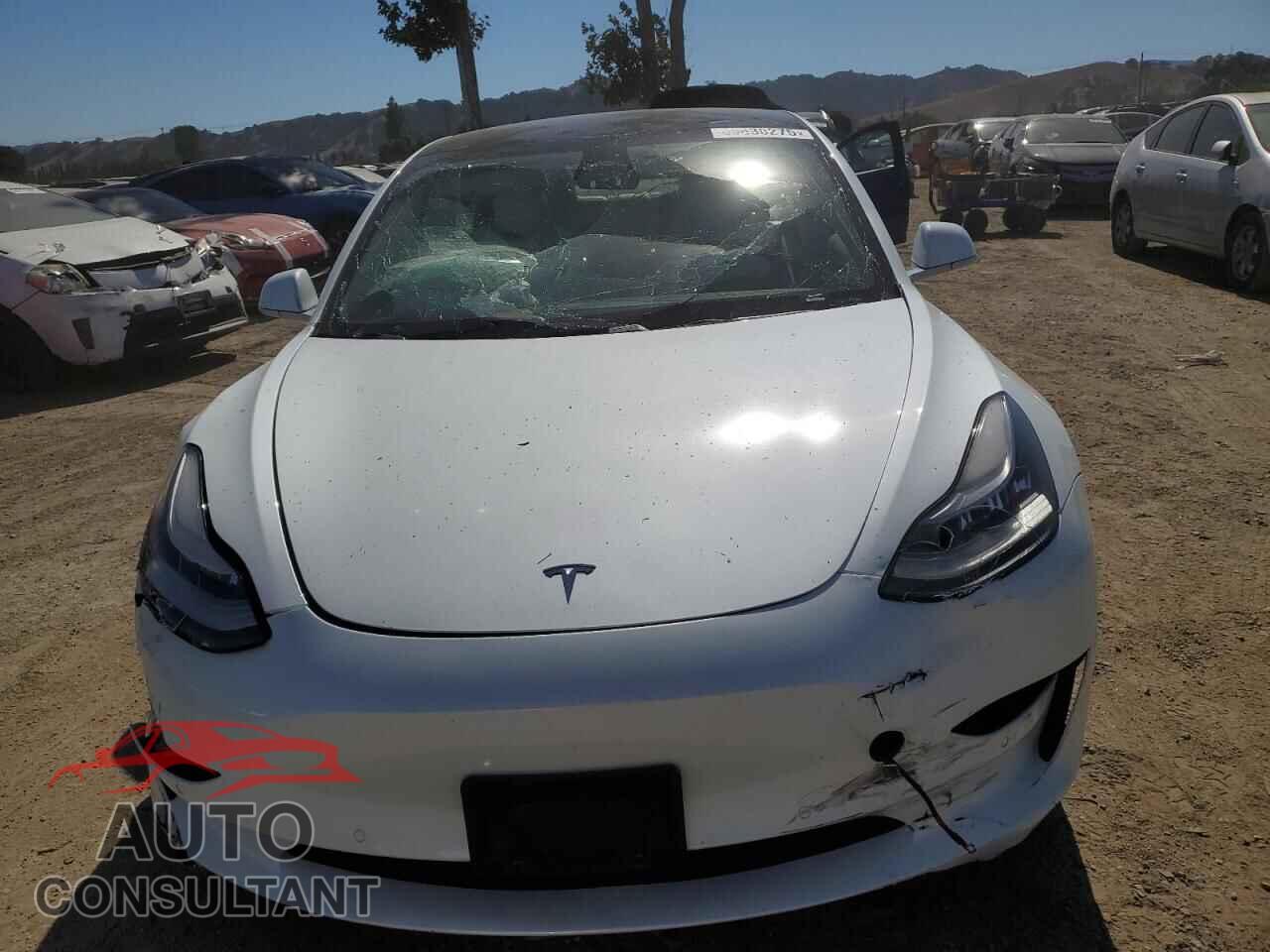 TESLA MODEL 3 2019 - 5YJ3E1EB0KF513235