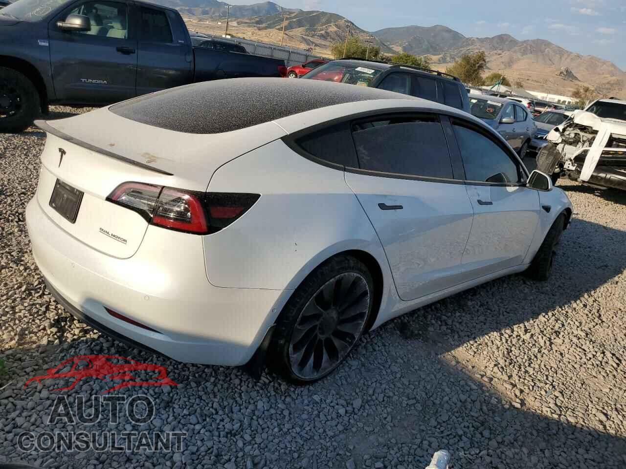 TESLA MODEL 3 2019 - 5YJ3E1EB4KF487156