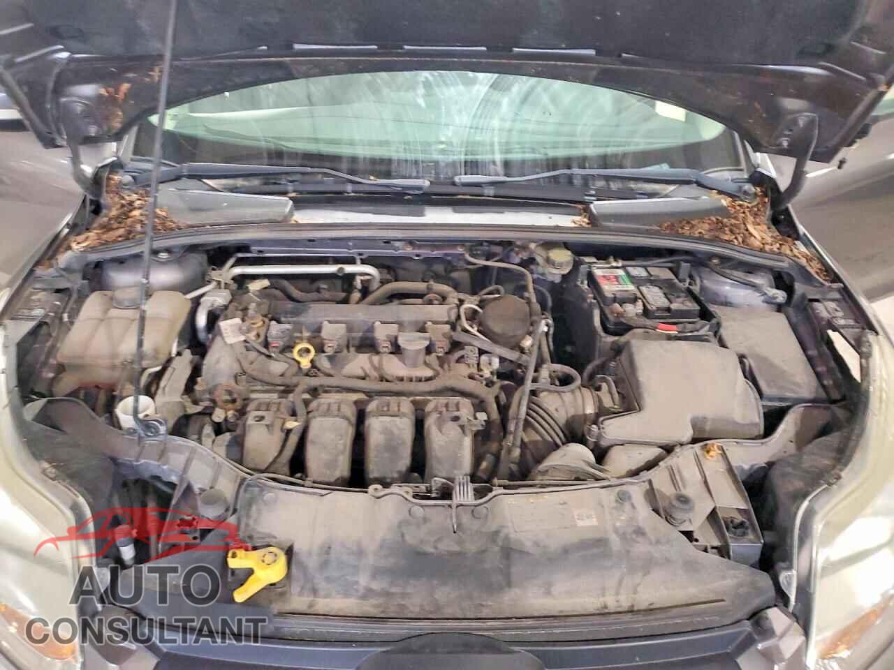 FORD FOCUS 2014 - 1FADP3F20EL228342