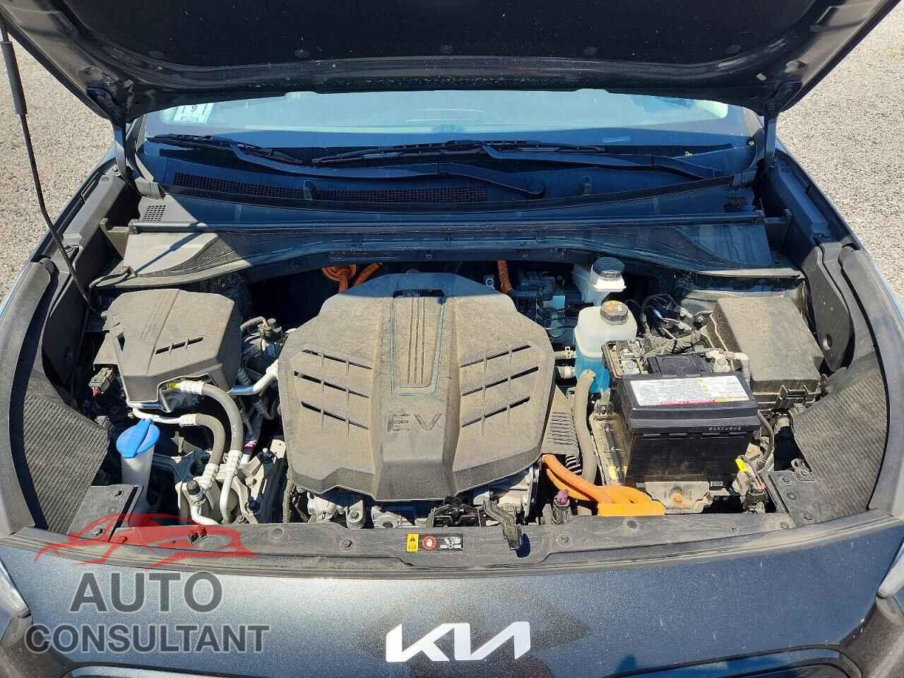 KIA UNKNOWN 2022 - KNDCC3LG2N5159904