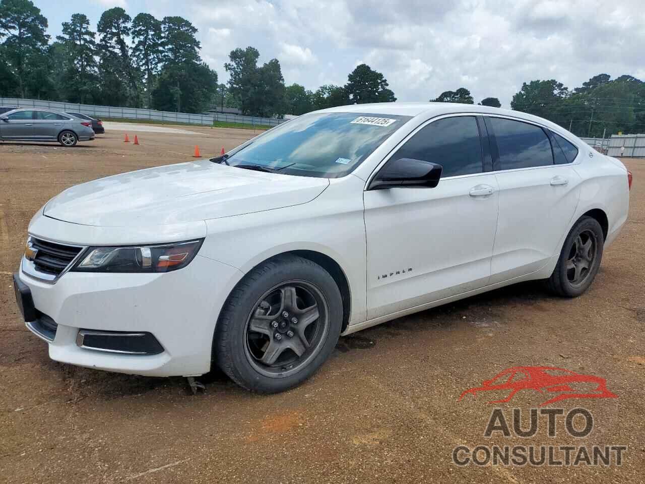 CHEVROLET IMPALA 2019 - 2G11Y5S32K9126539