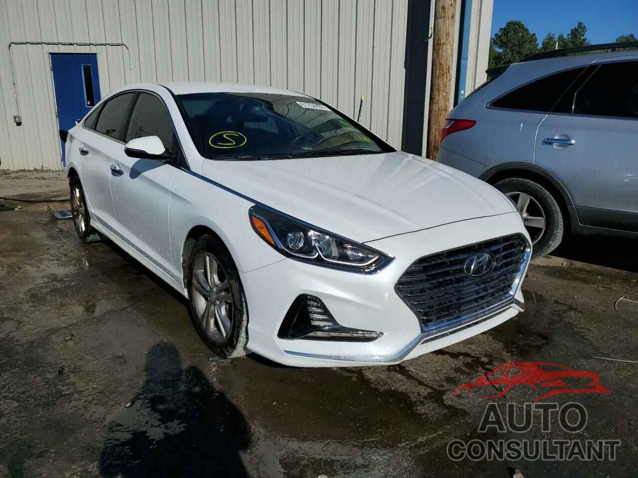 HYUNDAI SONATA 2018 - 5NPE34AF3JH596698