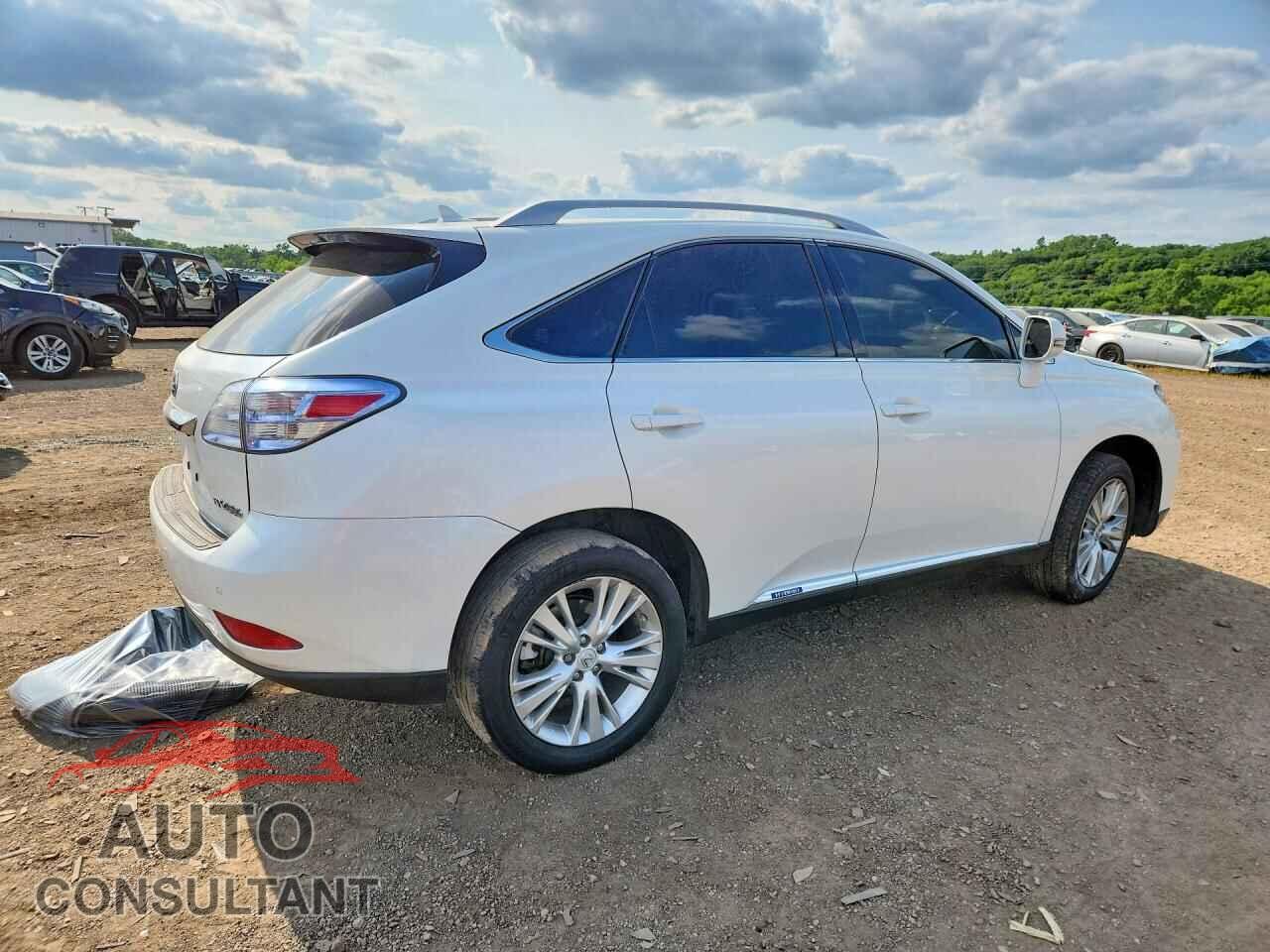LEXUS RX450 2010 - JTJBC1BA2A2031636