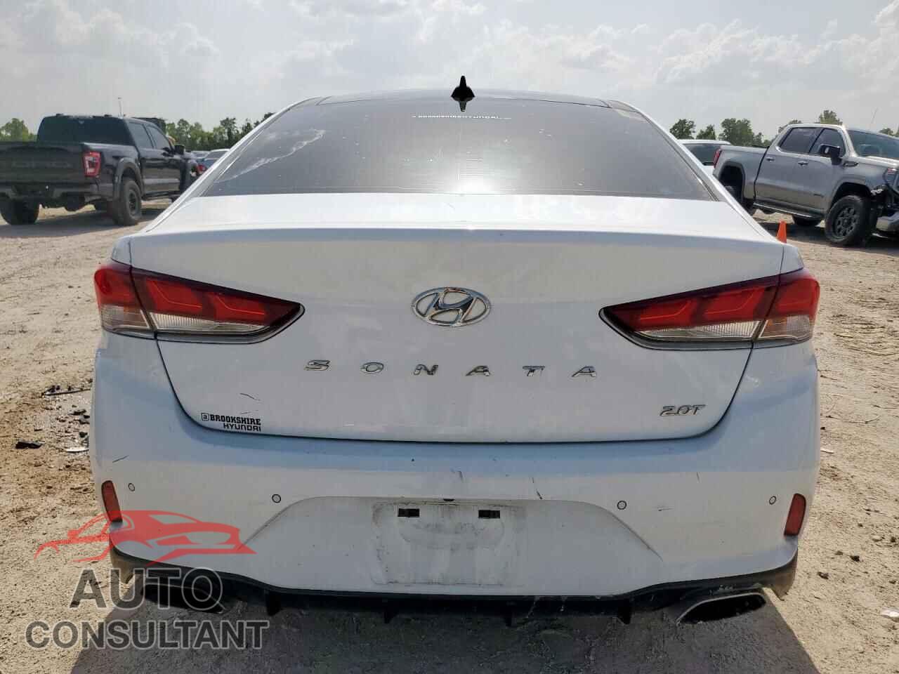 HYUNDAI SONATA 2019 - 5NPE34AB3KH821670