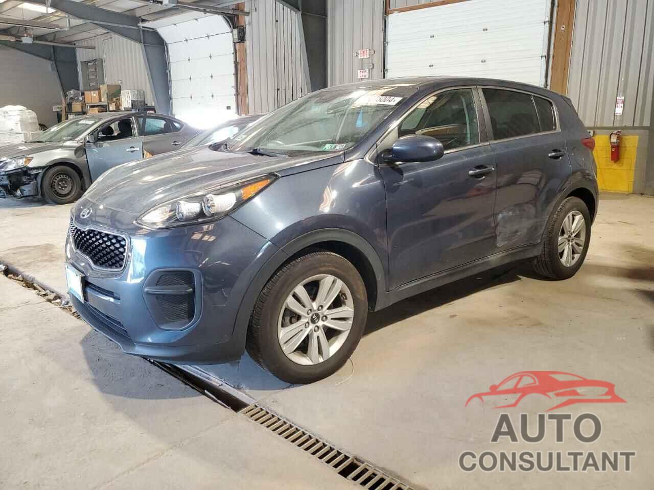 KIA SPORTAGE 2017 - KNDPM3AC7H7231364