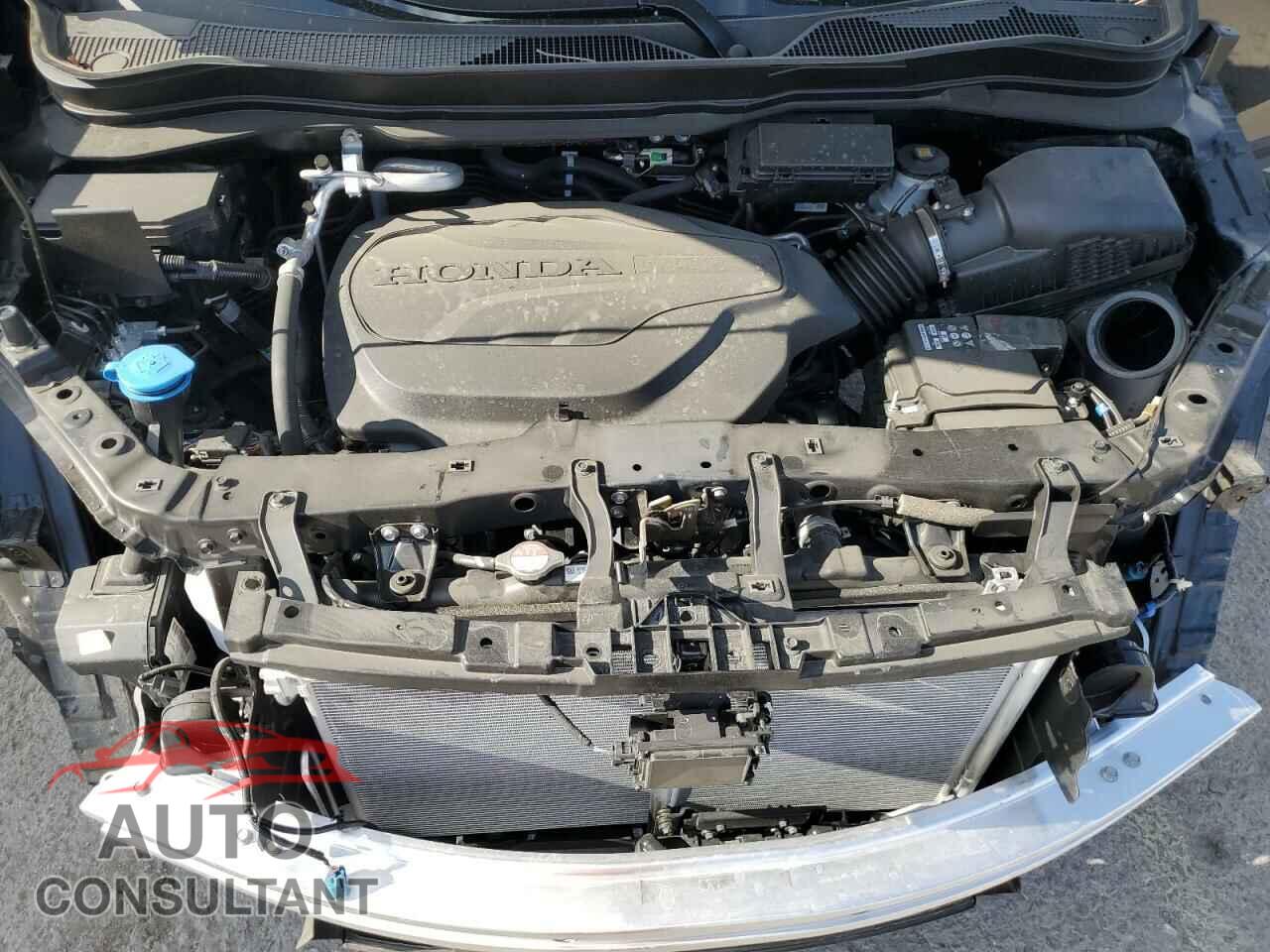 HONDA RIDGELINE 2024 - 5FPYK3F17RB032240