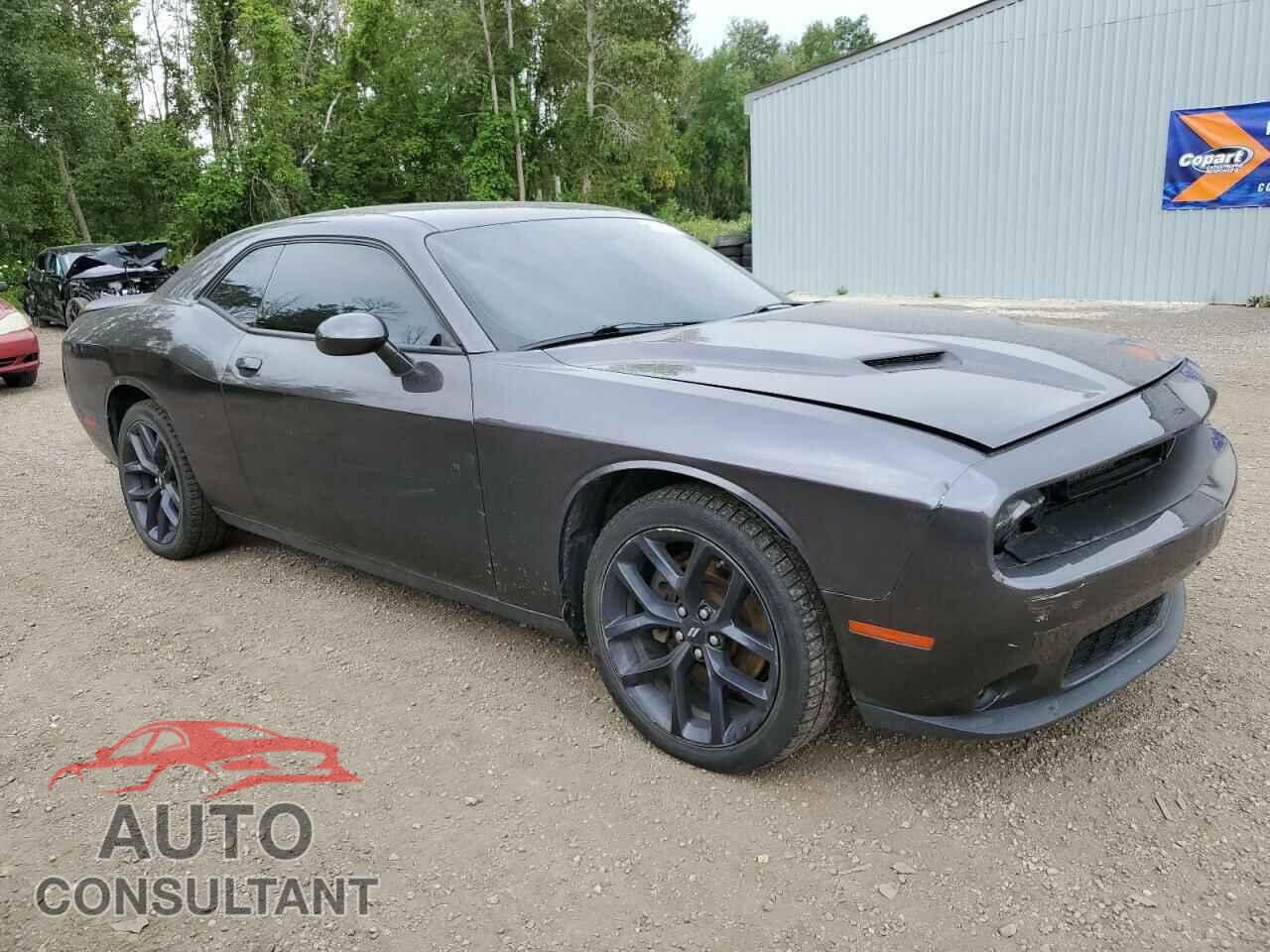 DODGE CHALLENGER 2019 - 2C3CDZAG7KH641103