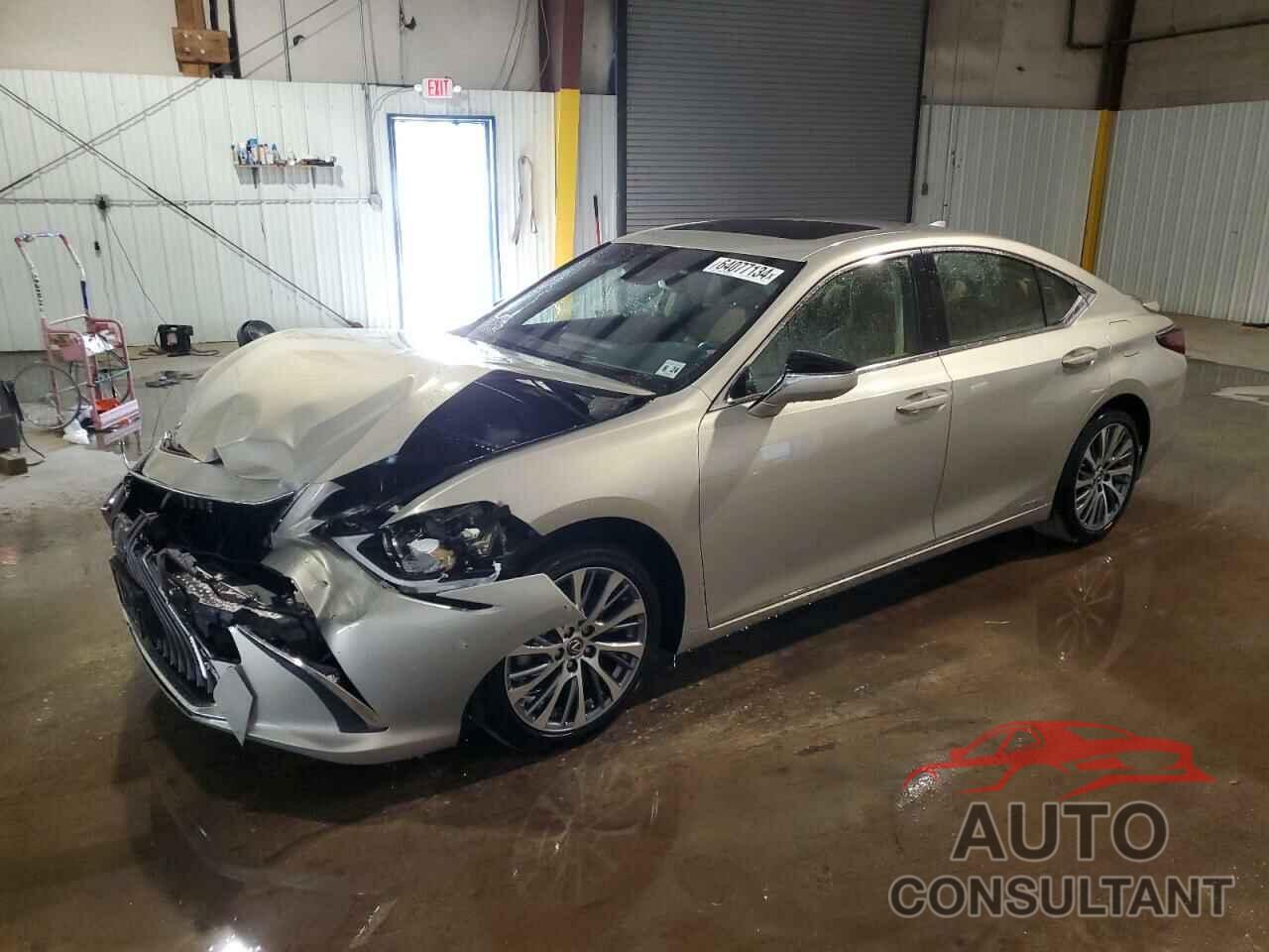 LEXUS ES300 2019 - JTHB21B18K2044171