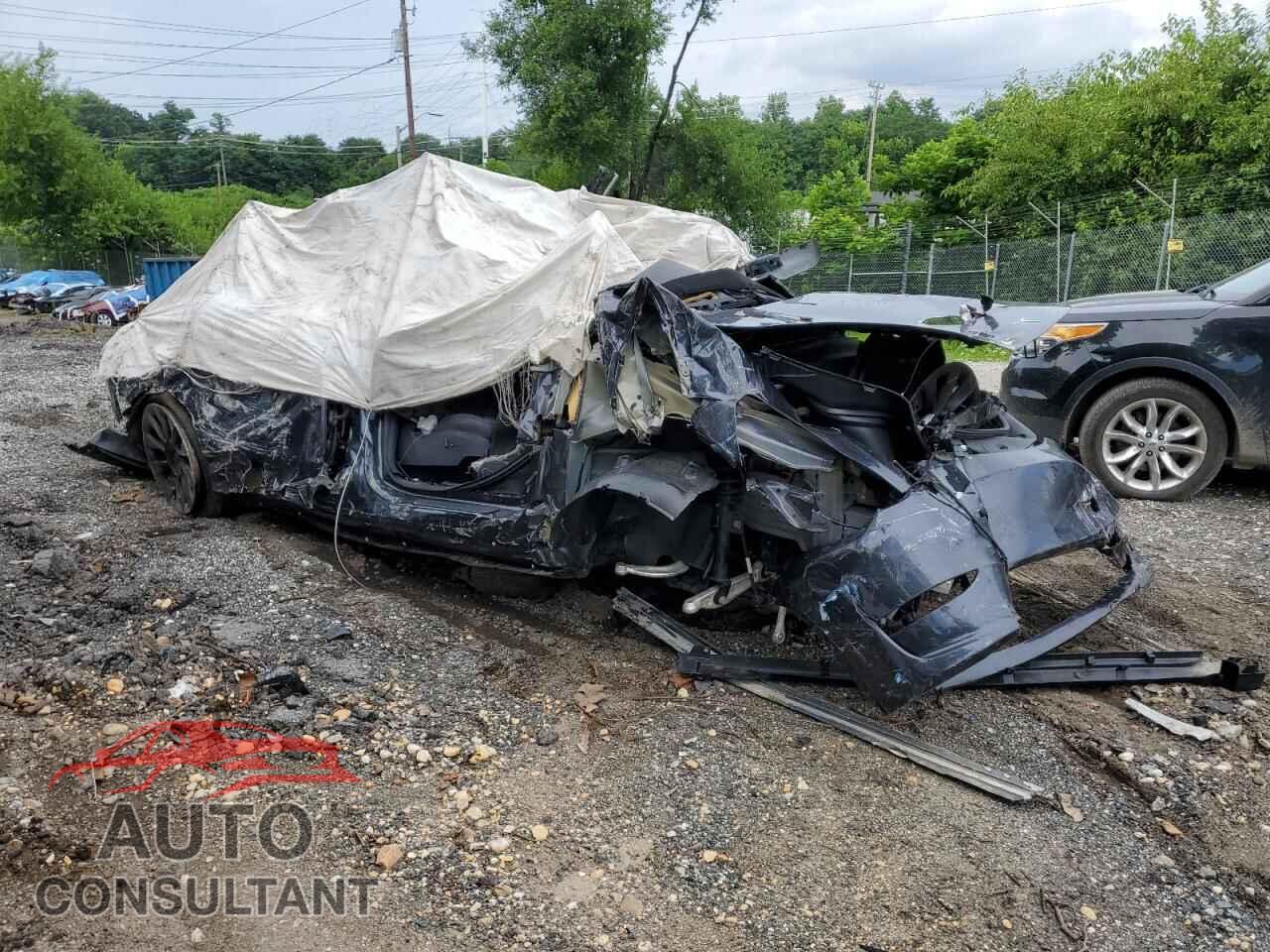 TESLA MODEL Y 2024 - 7SAYGDED7RF095594
