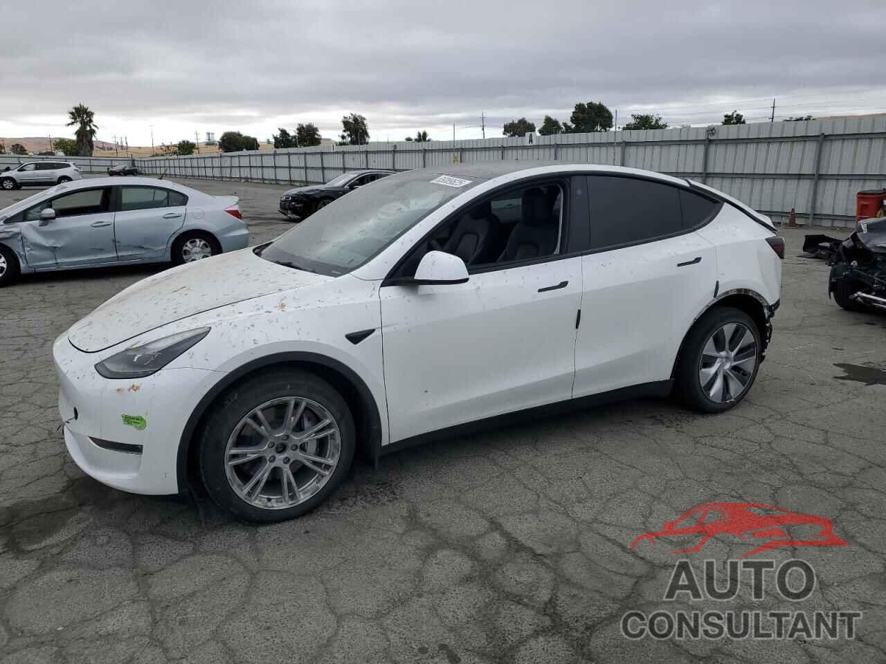 TESLA MODEL Y 2023 - 7SAYGDEE0PF663528