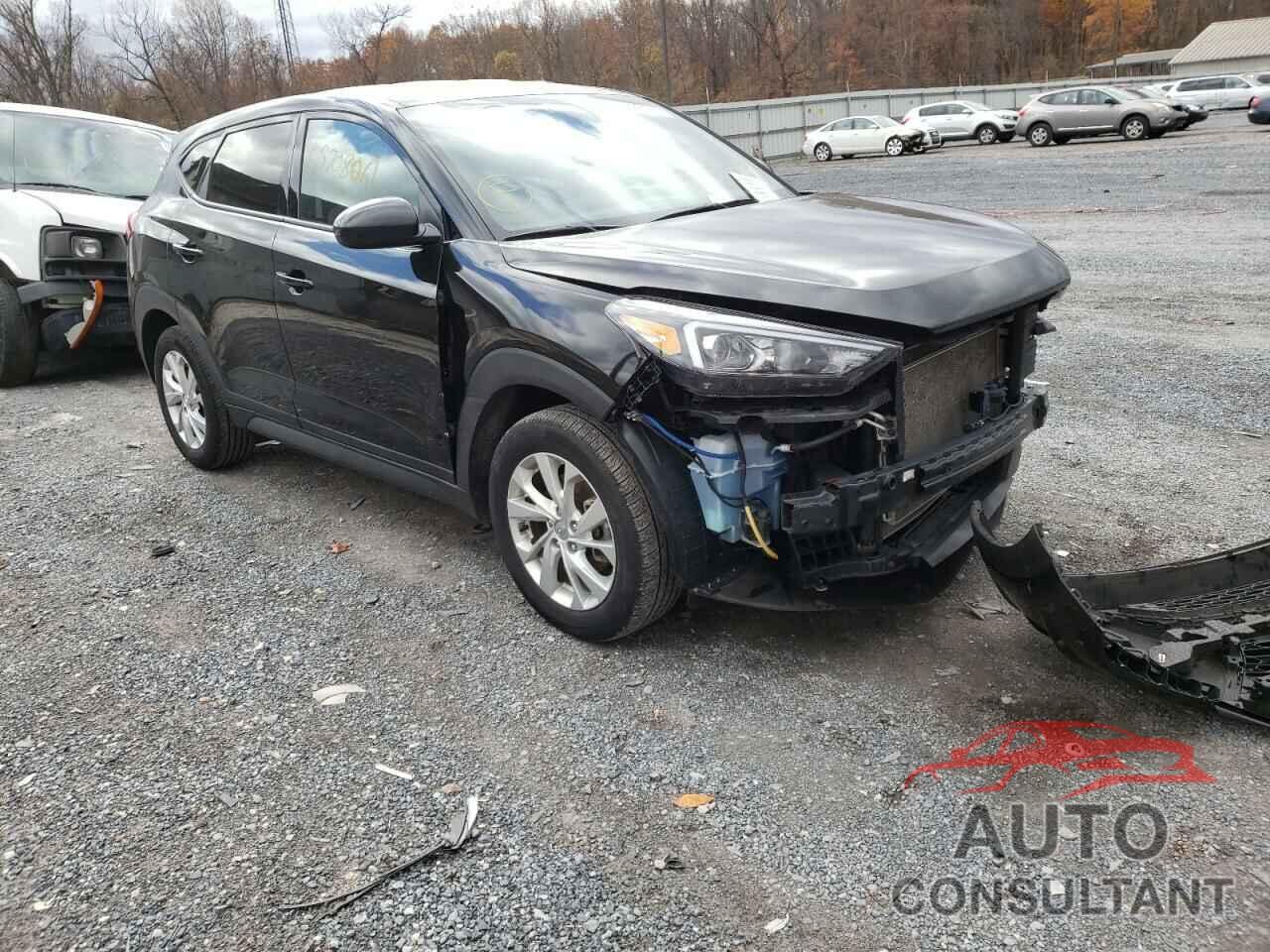 HYUNDAI TUCSON 2019 - KM8J2CA4XKU895778