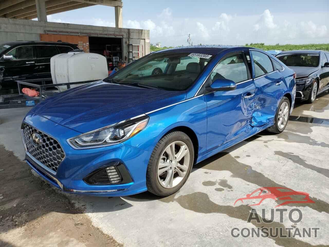 HYUNDAI SONATA 2019 - 5NPE34AF7KH772637