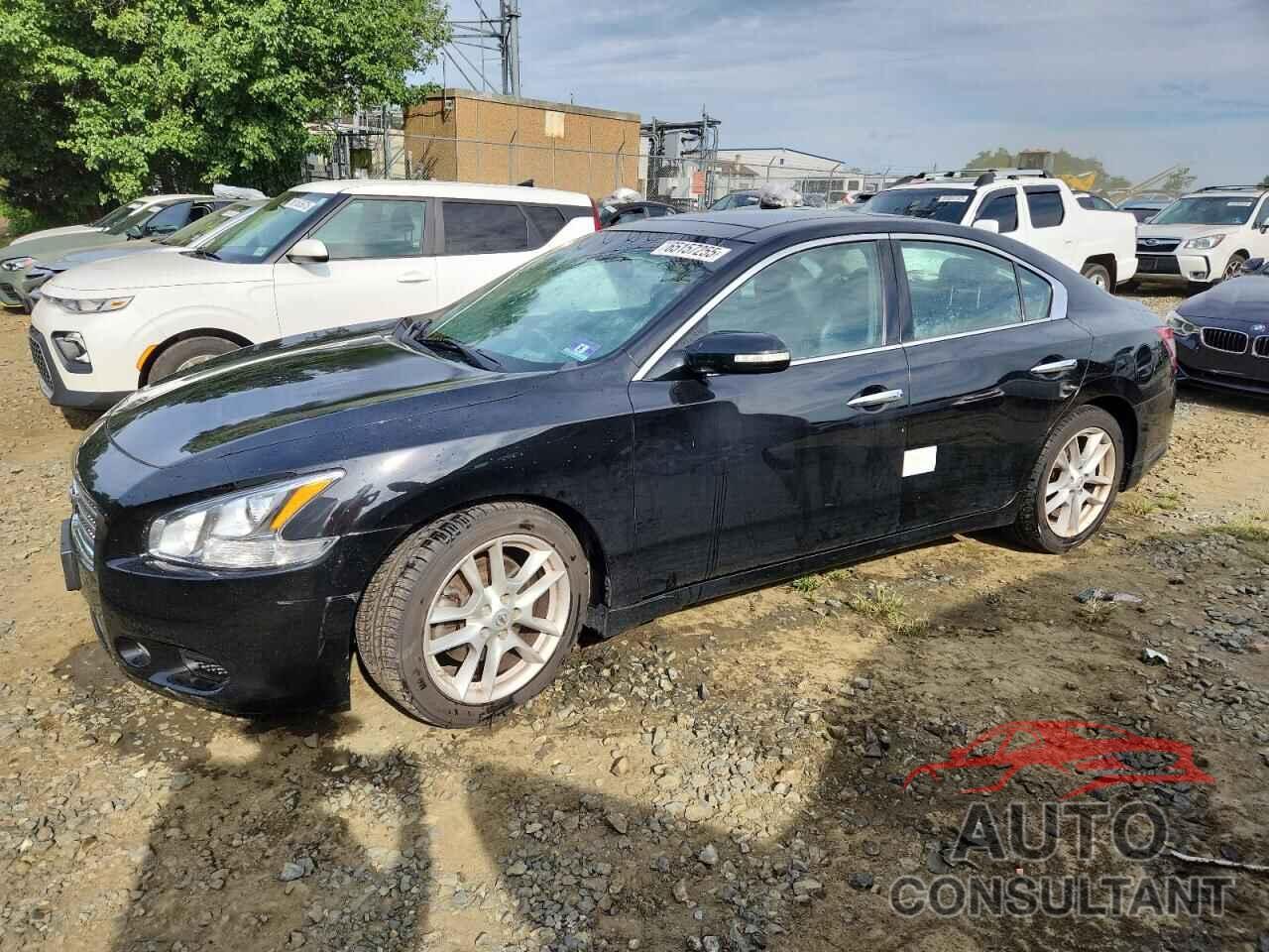 NISSAN MAXIMA 2011 - 1N4AA5AP6BC824859