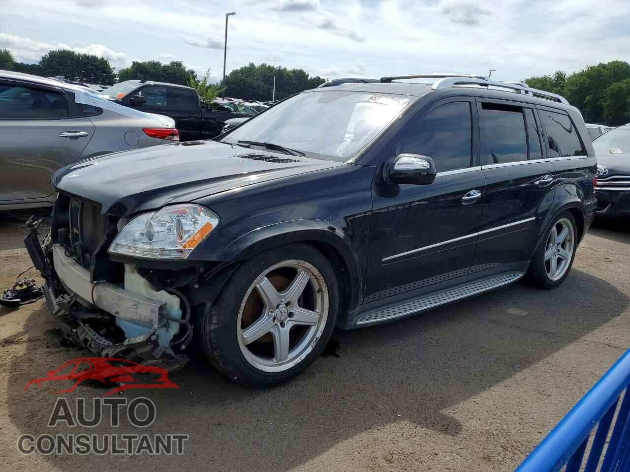 MERCEDES-BENZ GL-CLASS 2009 - 4JGBF86E59A516947